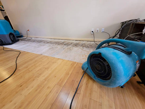 Professional Sewage Cleanup technician working in Waterloo, OH